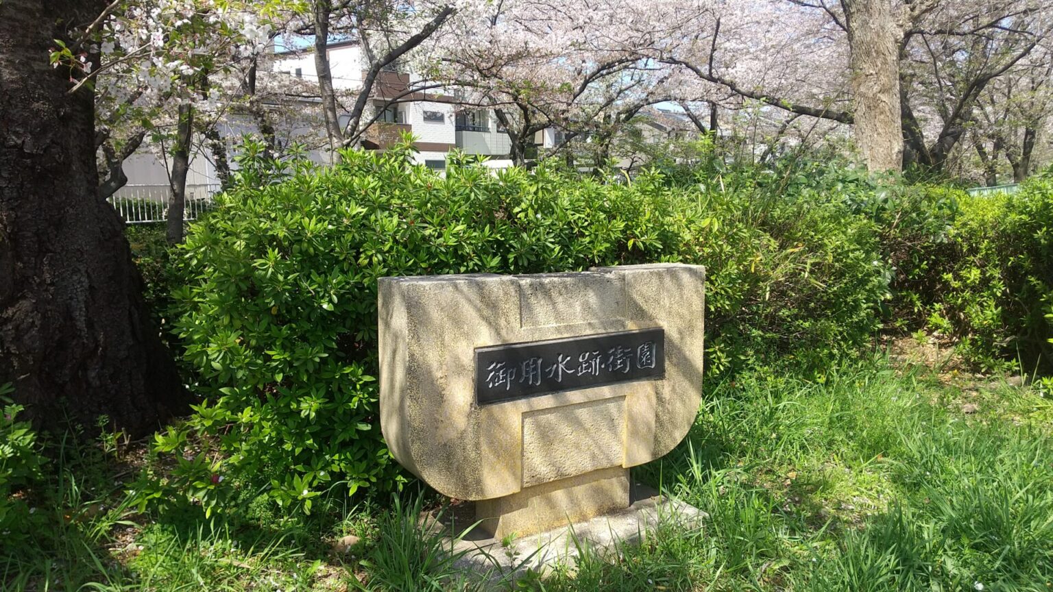 愛知県 名古屋市 北区 辻本通|黒川(堀川)沿い後用水跡街園の桜 生涯初心者まさみ 愛知県 名古屋市 北区 辻本通|黒川(堀川)沿い後用水跡街園の桜 生涯初心者まさみ