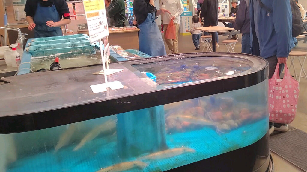 北海道 函館 ベイエリア 市場 海鮮 お土産 フードコート はこだて海鮮市場 いかいか亭バリアフリー 障害者 車椅子