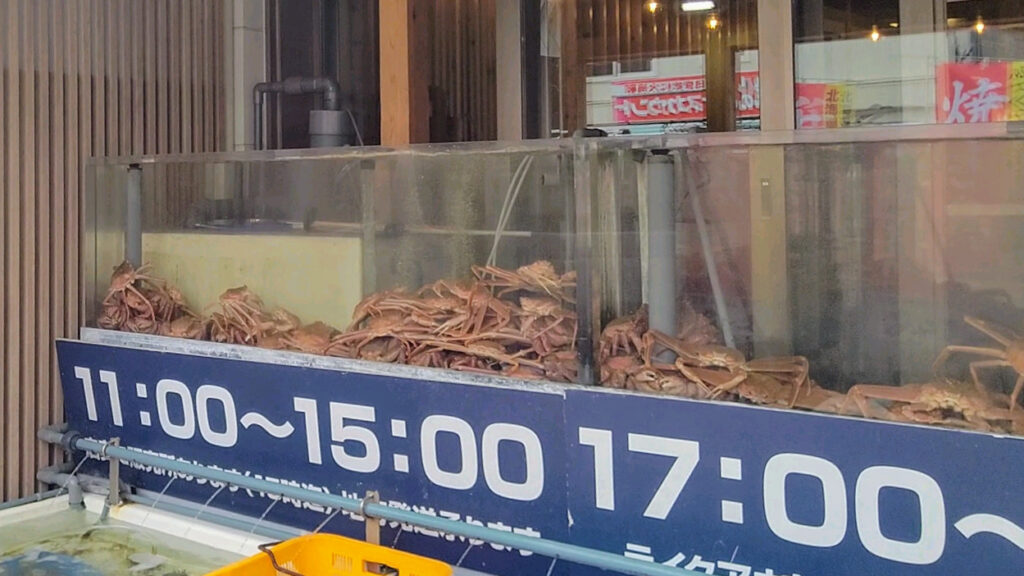 北海道 函館 市場 朝市 函館朝市ひろば 障害者 バリアフリー 車椅子