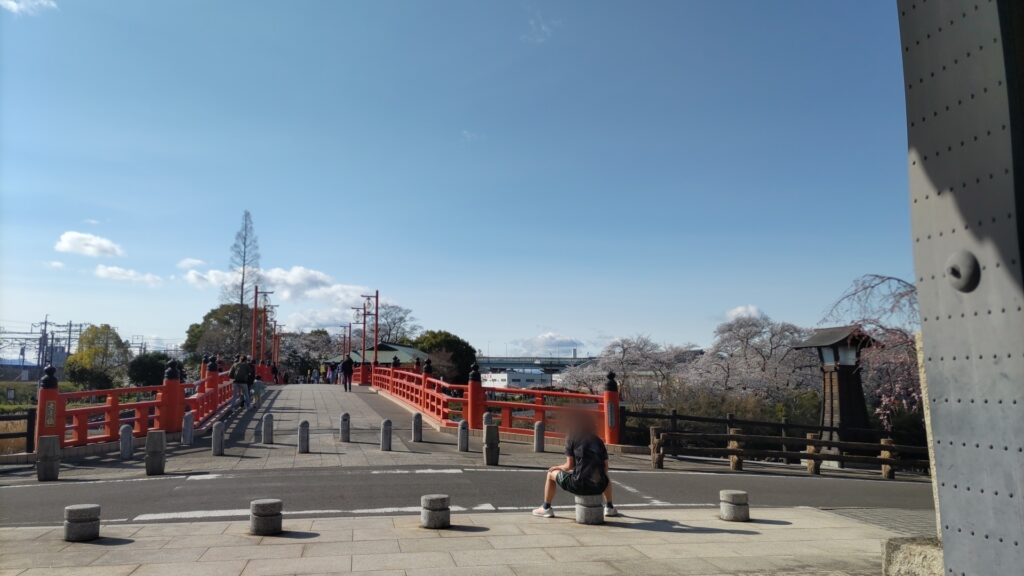 愛知 清州 花見 清州城 桜 障害者 バリアフリー 車椅子