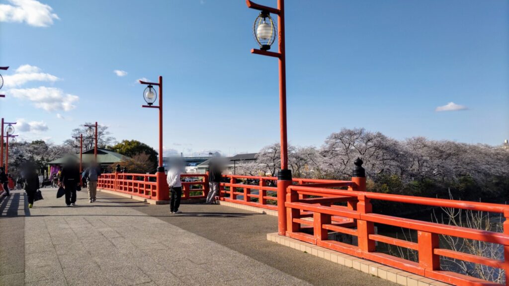 愛知 清州 花見 清州城 桜 障害者 バリアフリー 車椅子