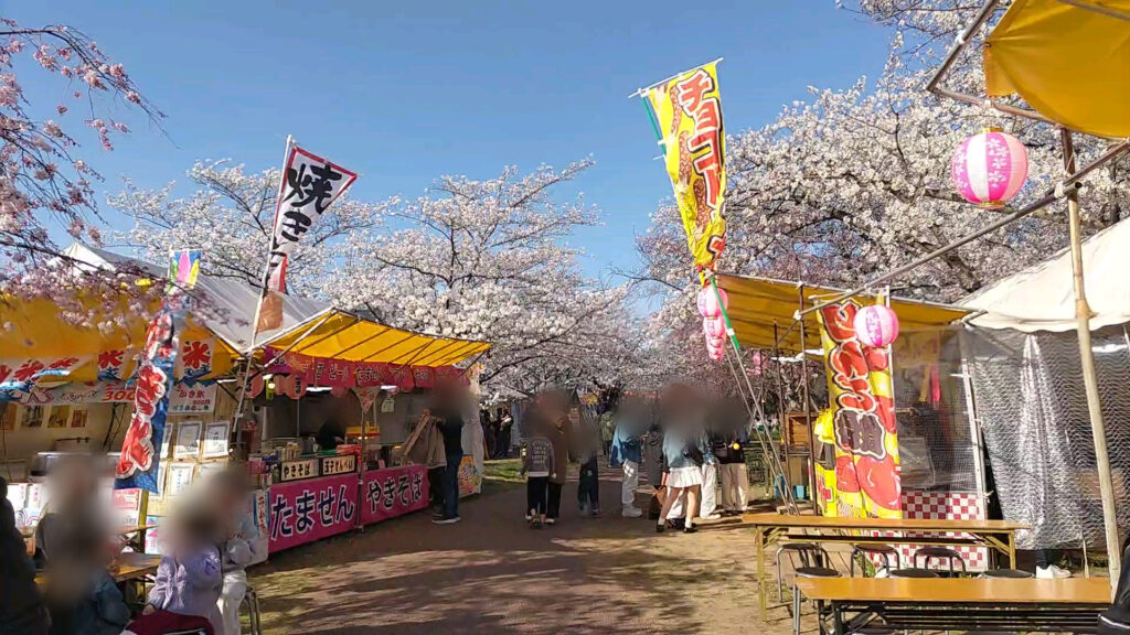 愛知 清州 花見 清州城 桜 障害者 バリアフリー 車椅子
