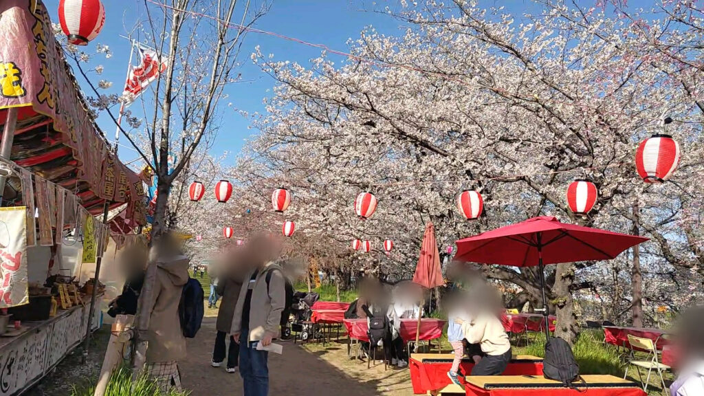 愛知 清州 花見 清州城 桜 障害者 バリアフリー 車椅子