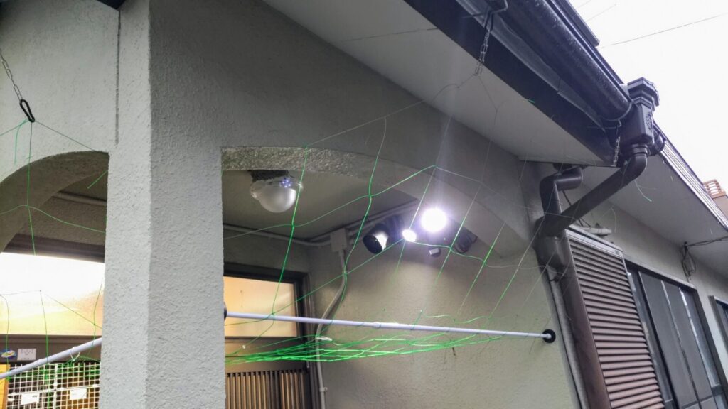 ツバメ カラス 対策