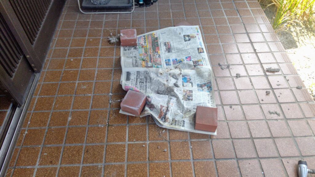 ツバメ カラス 対策