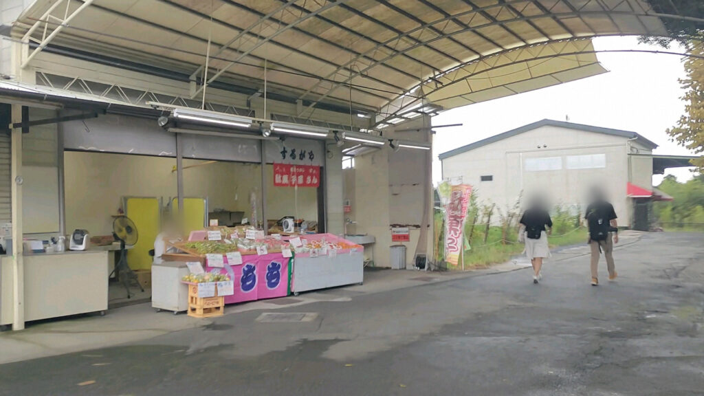 静岡 富士宮 観光 白糸の滝 障害者 バリアフリー 車椅子